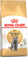 Royal Canin British Shorthair Adult
